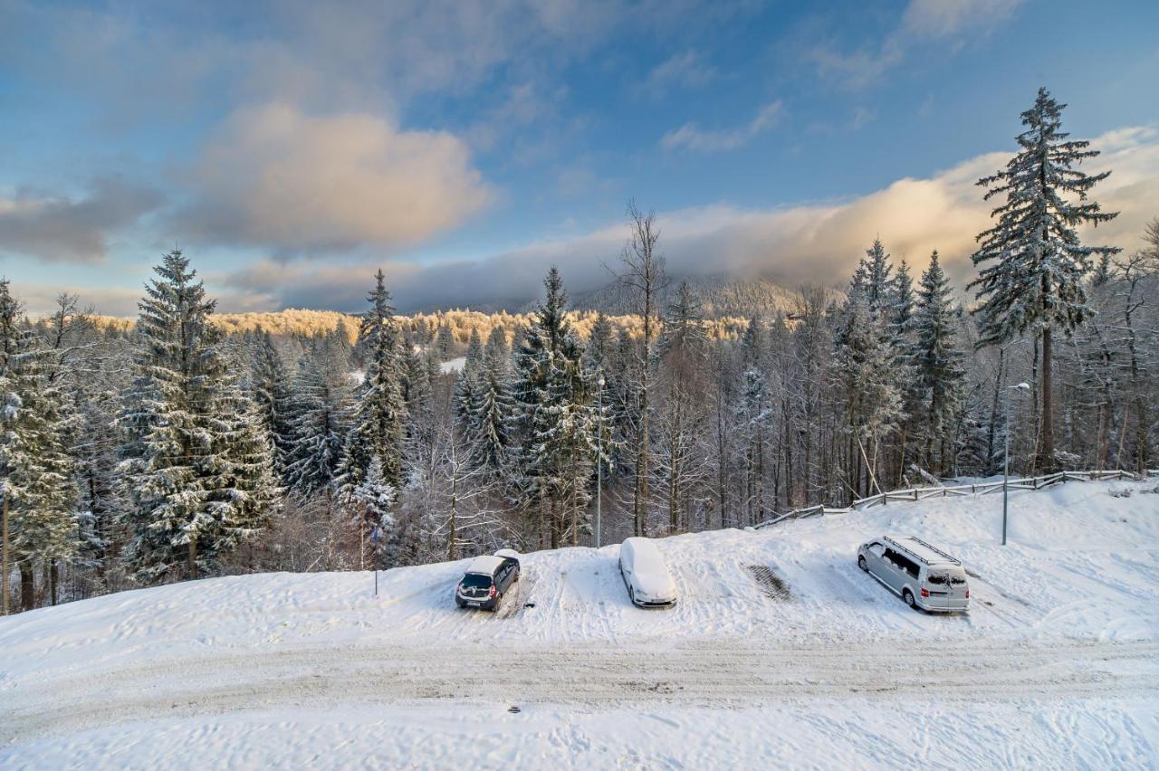 Silver Sunrise studio in Silver Mountain Poiana Brasov Esterno foto