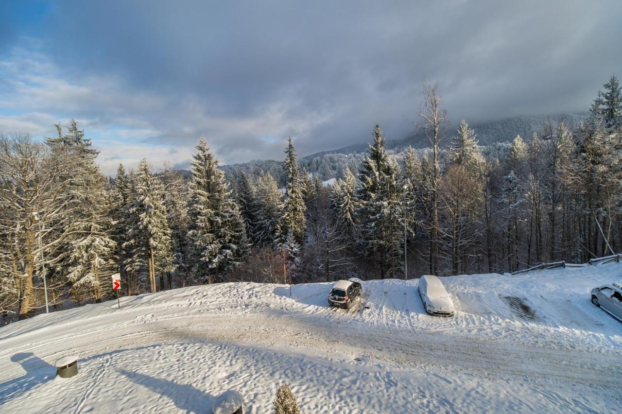 Silver Sunrise studio in Silver Mountain Poiana Brasov Esterno foto